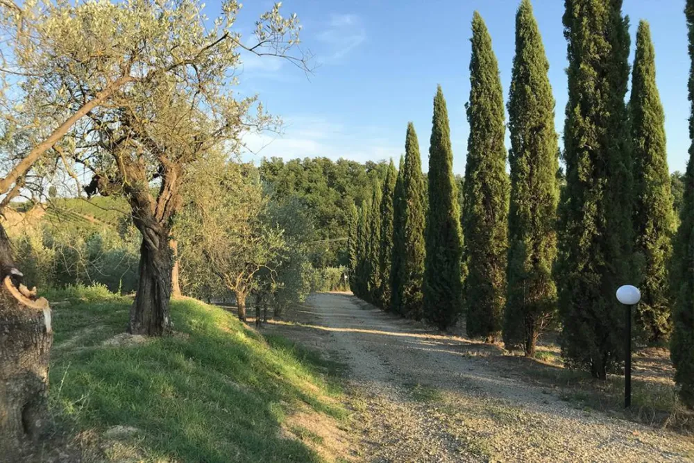 AGRICAMPING POGGIO AI PINI