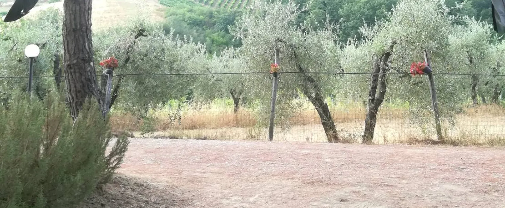 AGRICAMPING POGGIO AI PINI