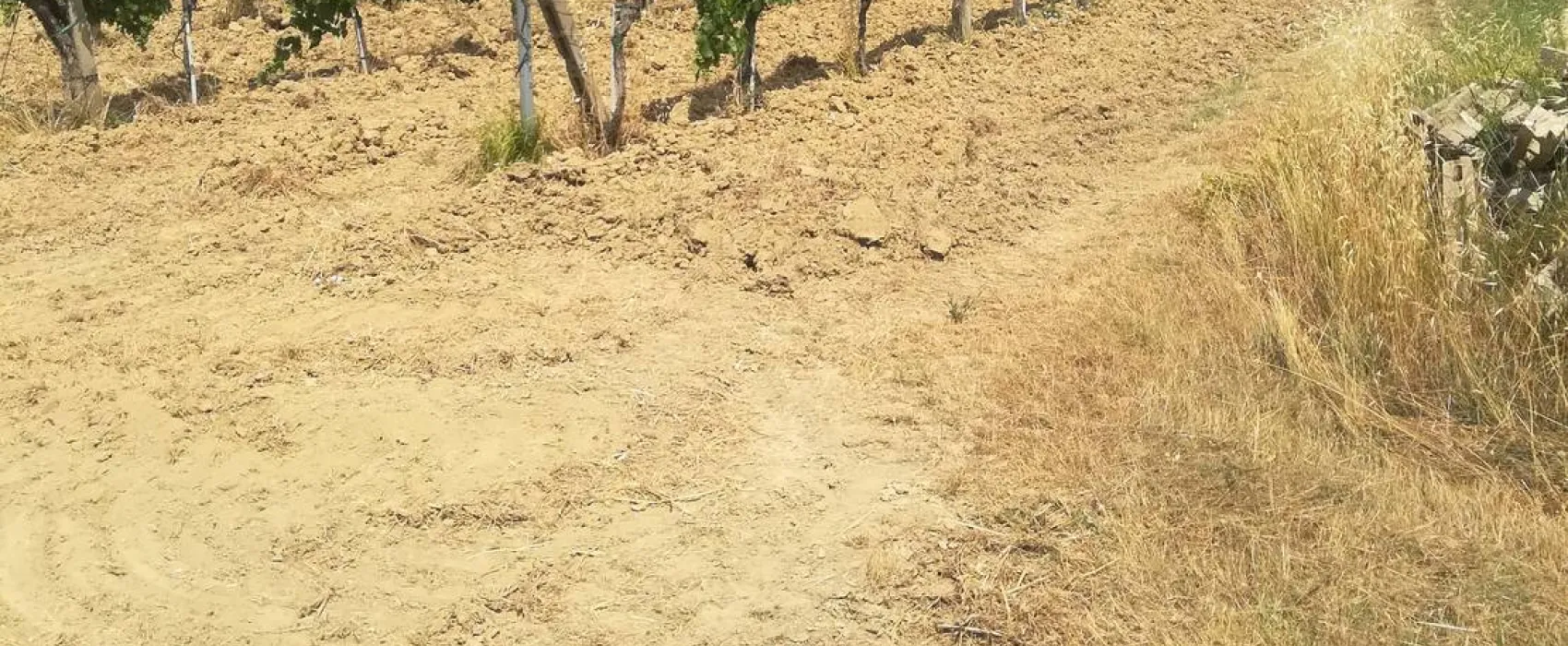 AGRICAMPING POGGIO AI PINI