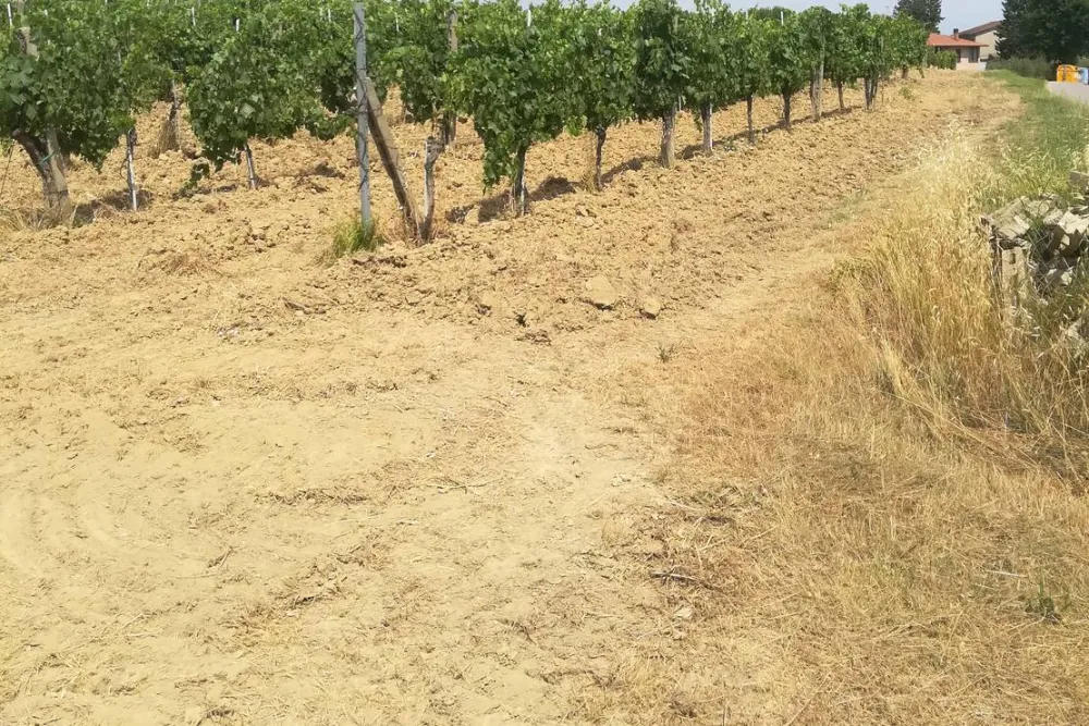 AGRICAMPING POGGIO AI PINI