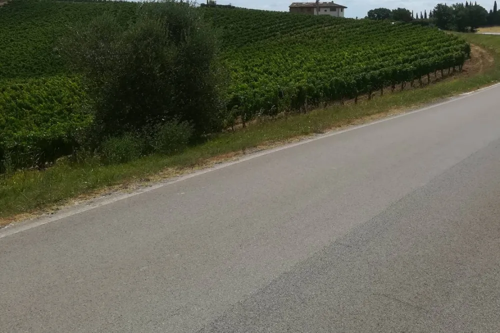 AGRICAMPING POGGIO AI PINI