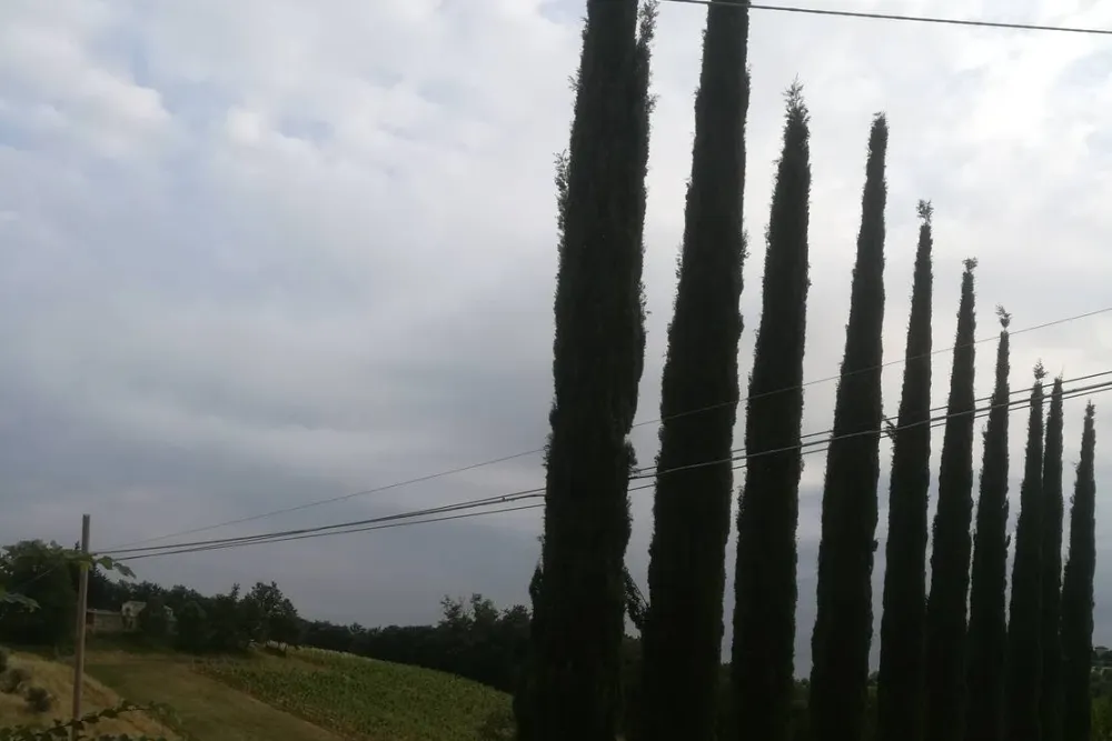 AGRICAMPING POGGIO AI PINI