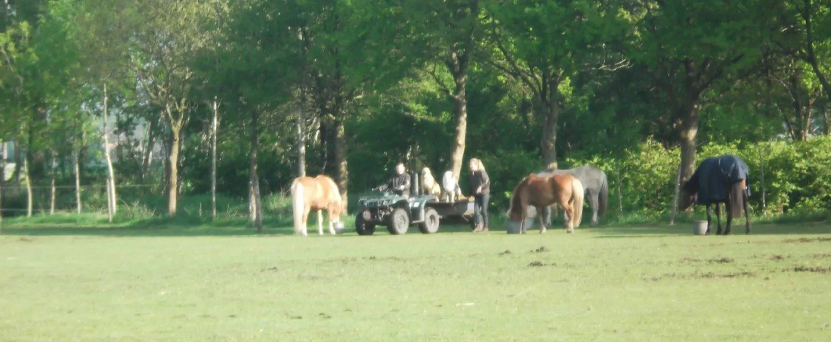 Natuurkampeerterrein 't Beekdal
