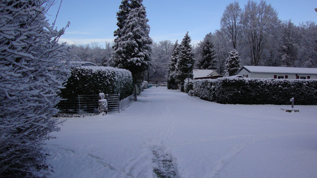 Malpertuus photo 3
