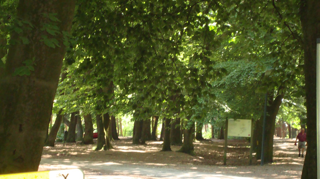 Malpertuus photo 4