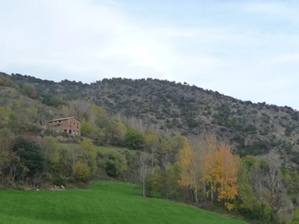 Borda Castell