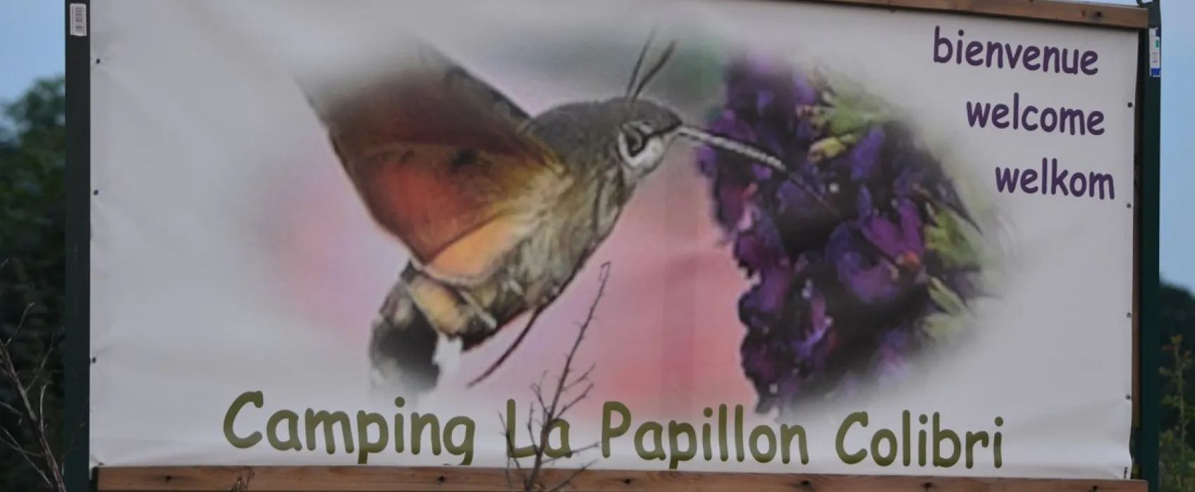 La Papillon Colibri