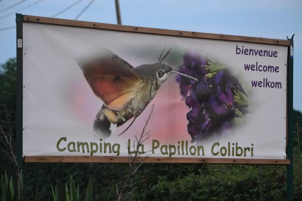 La Papillon Colibri