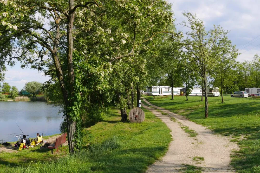 Camping-Eldorado Beled Kft