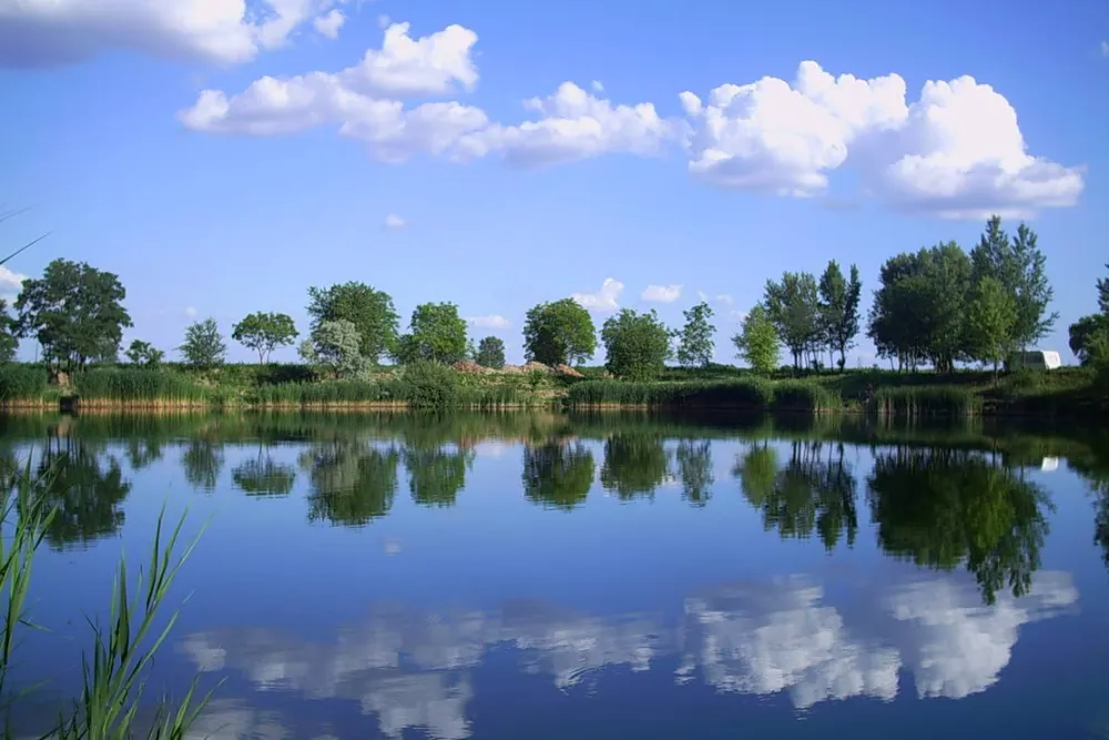 Camping-Eldorado Beled Kft