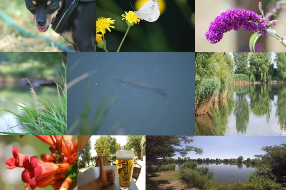 Camping-Eldorado Beled Kft