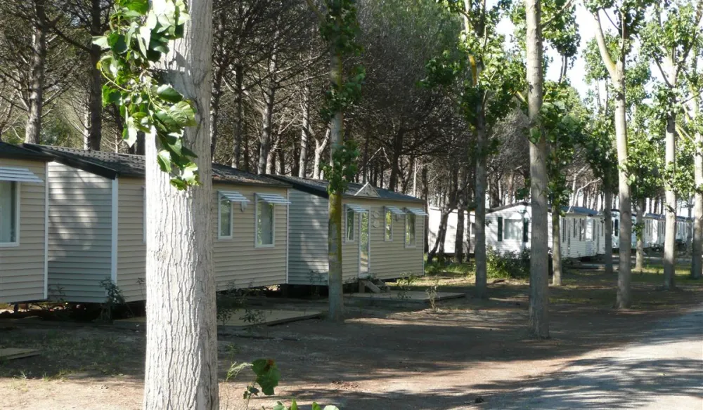 Camping Le Castellas  