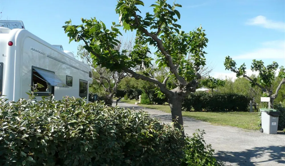 Camping Le Castellas  