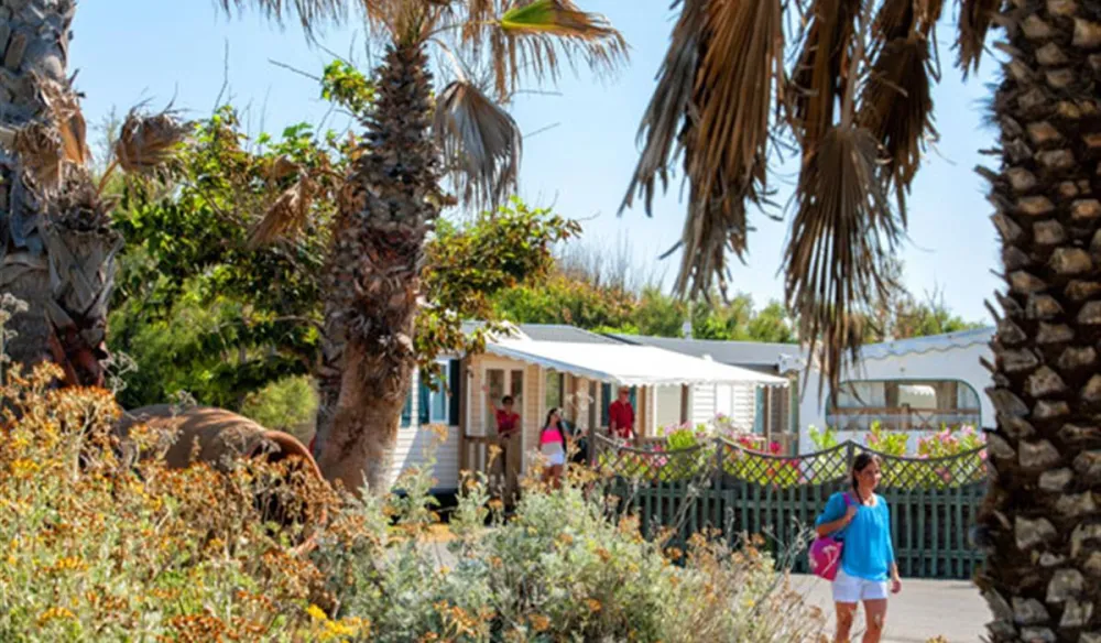 Camping Le Castellas  