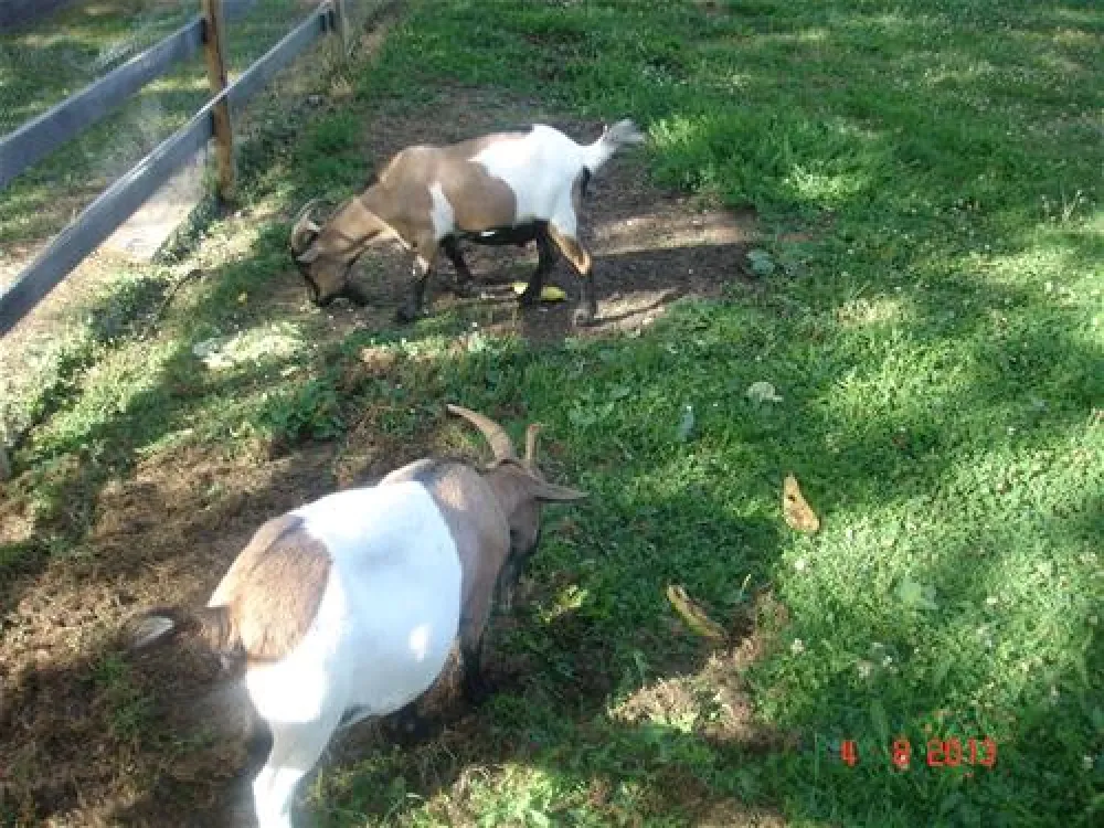 Camping Le Septentrion