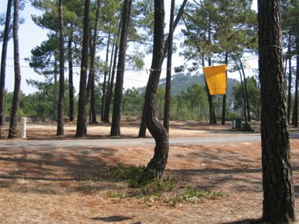 Parque de Campismo e Caravanismo de São Miguel