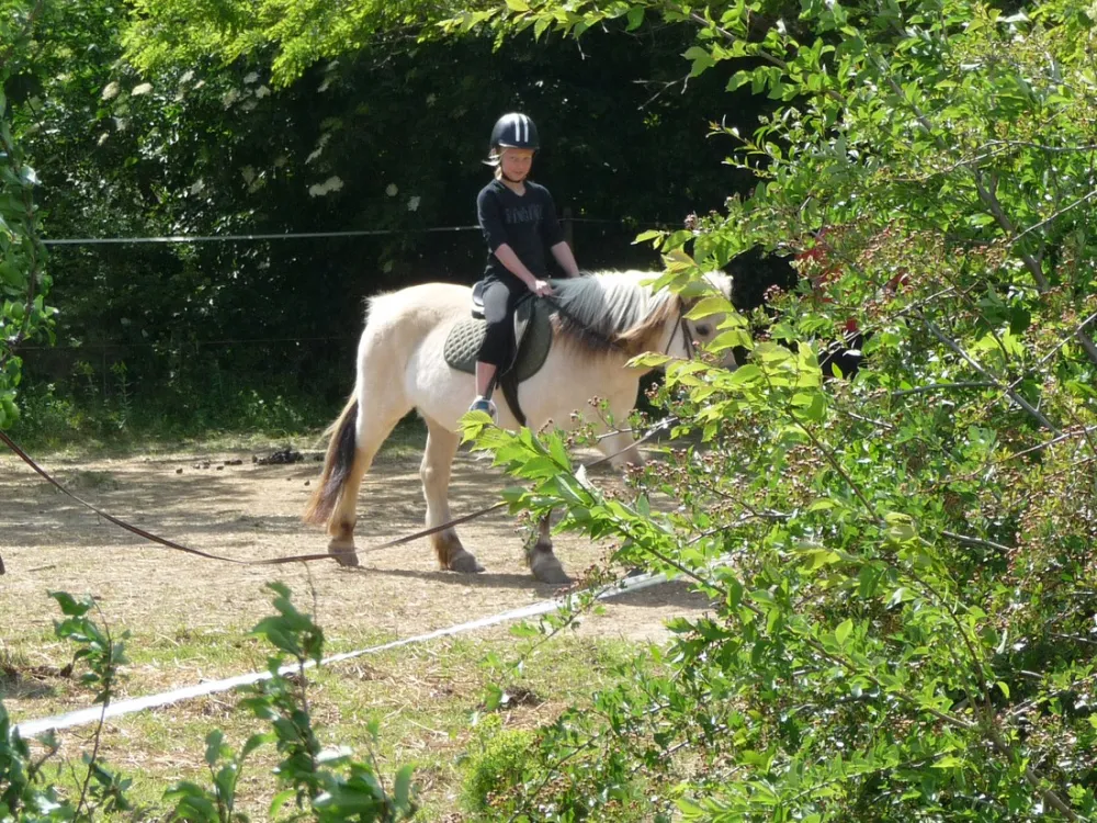 Camping Les Oliviers