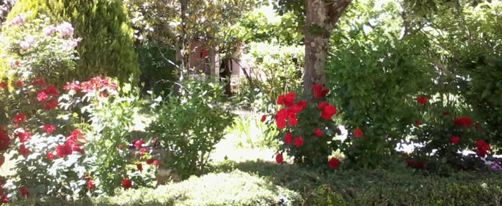 Camping Les Oliviers