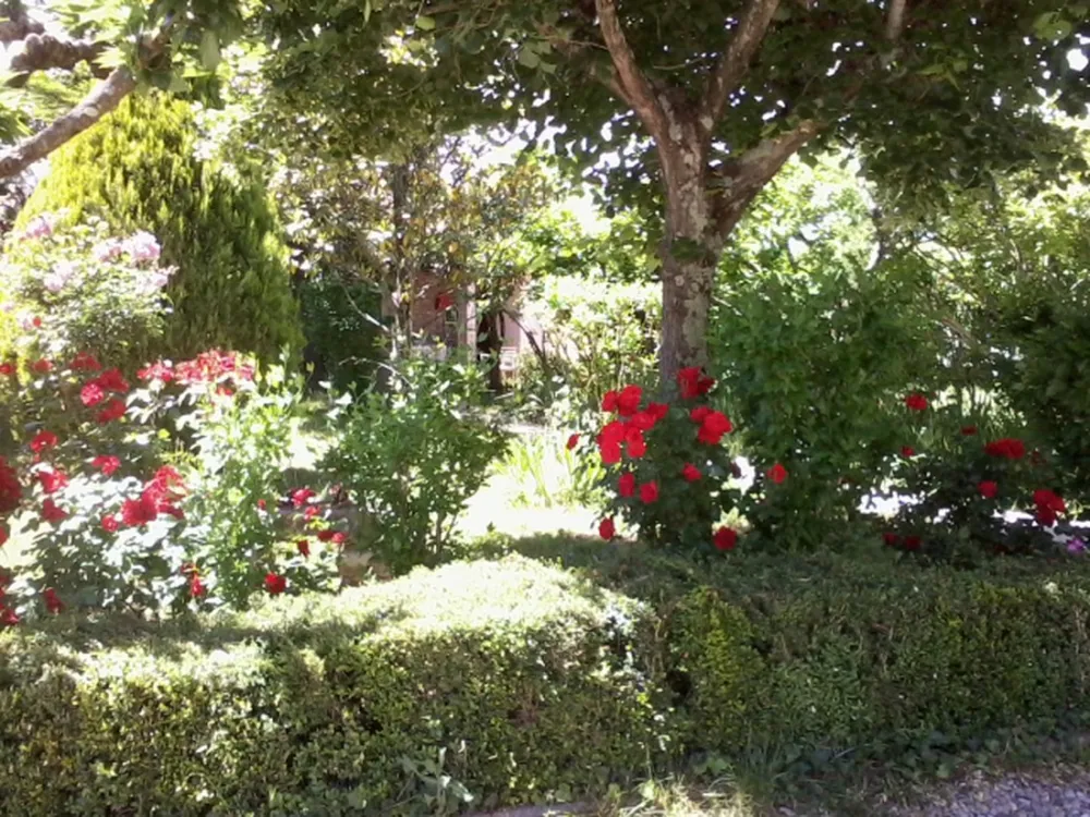 Camping Les Oliviers