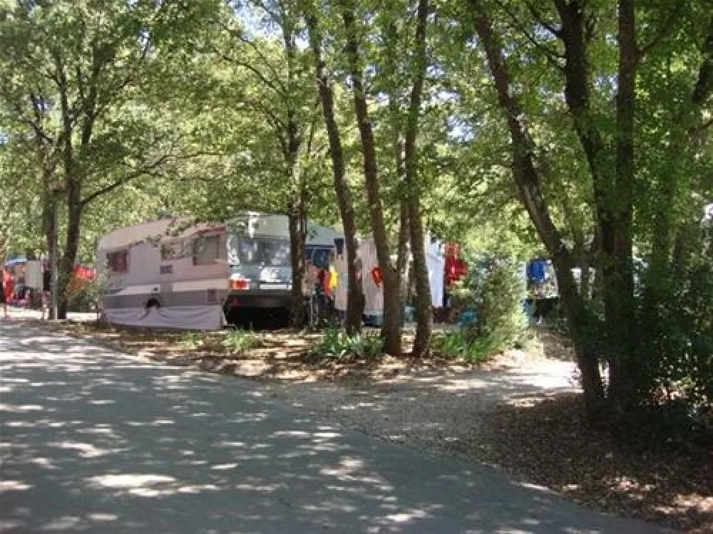 Camping Bijela Uvala