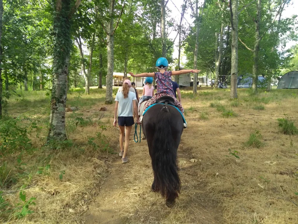 Castel Les Gorges Du Chambon  