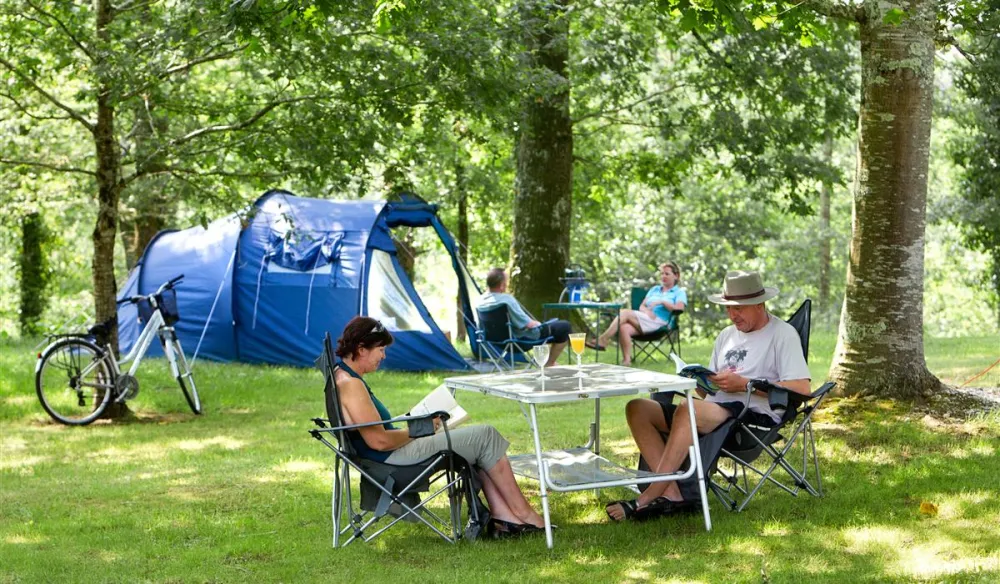 Castel Les Gorges Du Chambon  