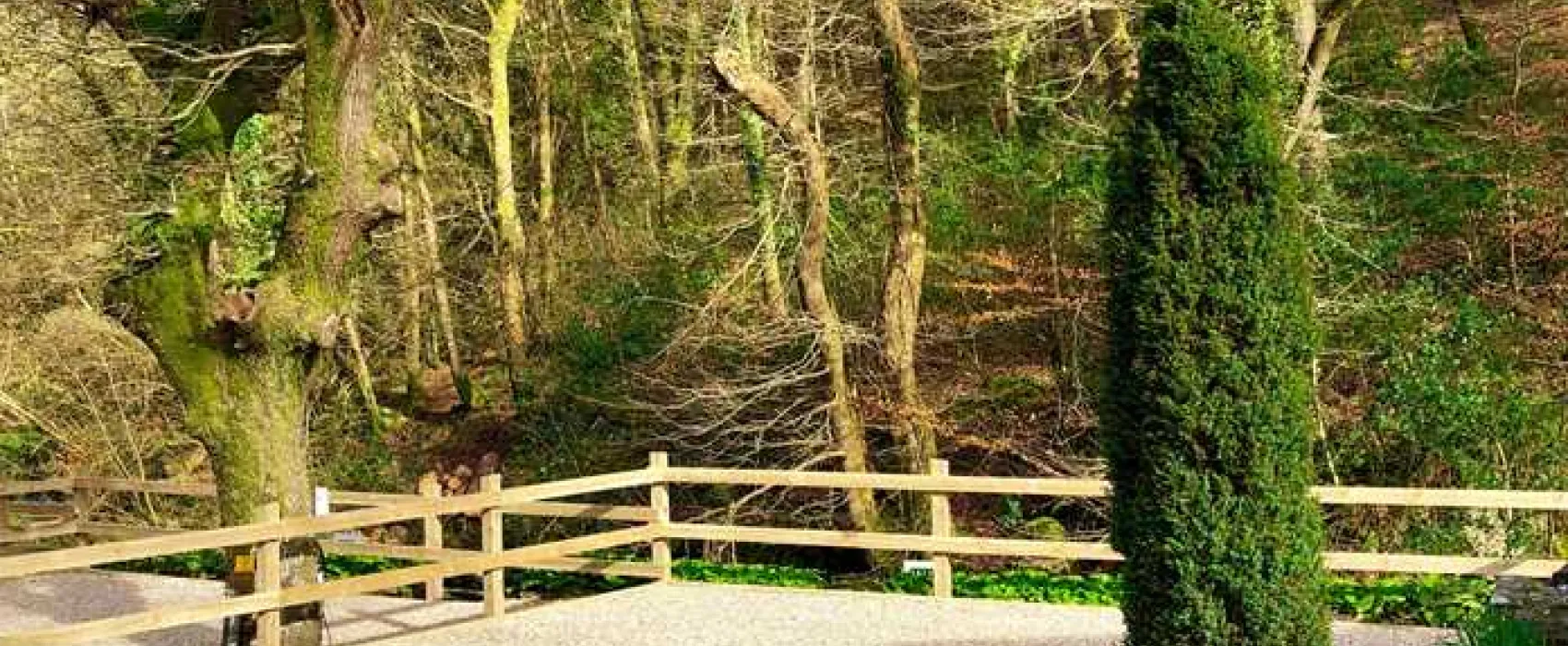 Sunny Lyn Holiday Park