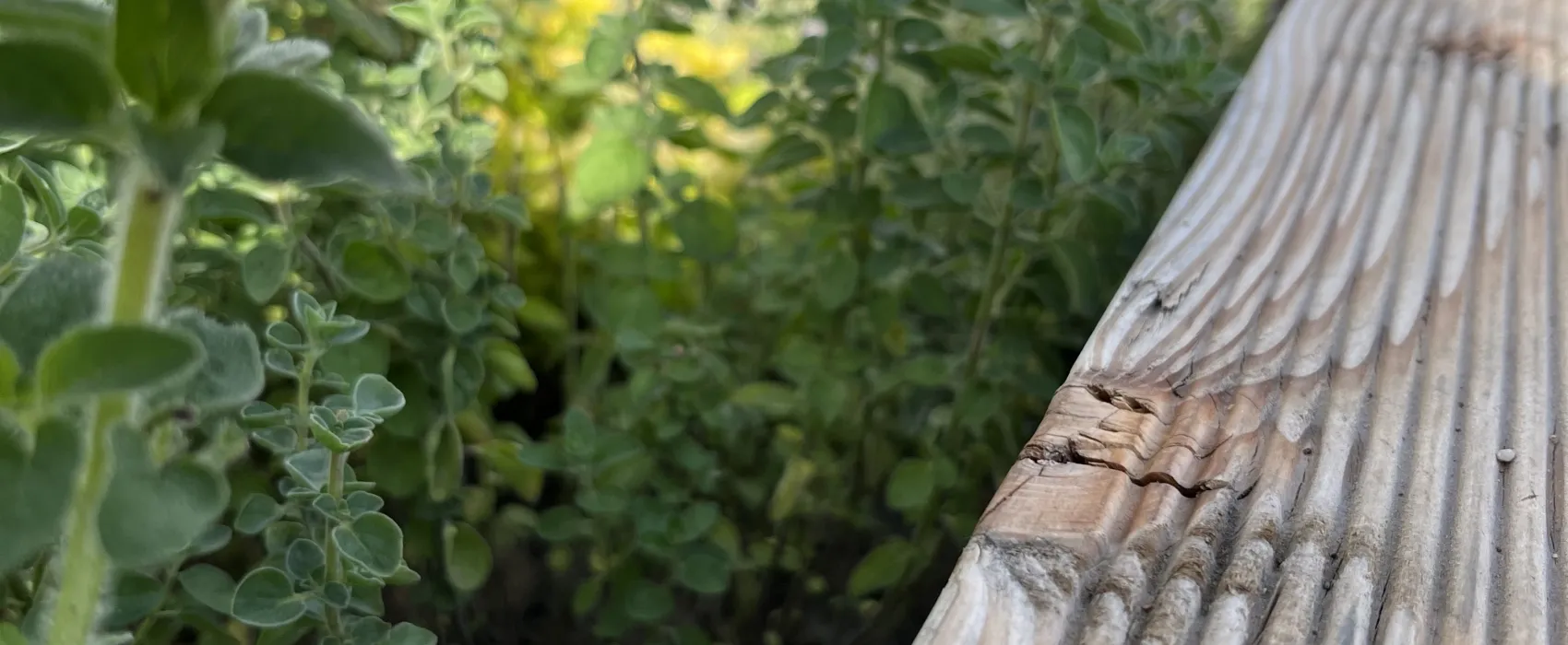 Hammersee Camping Bodenwöhr