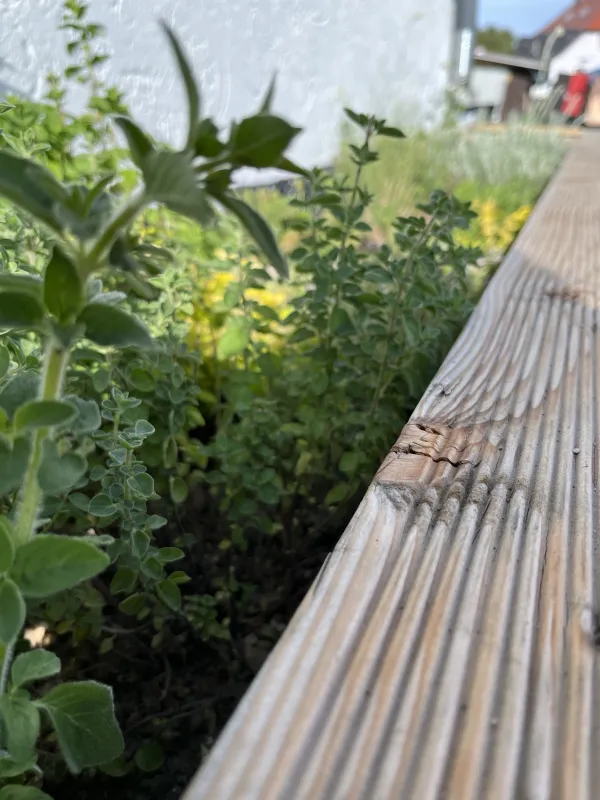 Hammersee Camping Bodenwöhr