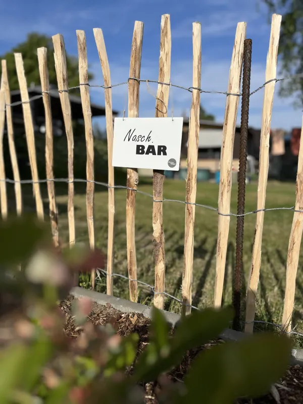 Hammersee Camping Bodenwöhr