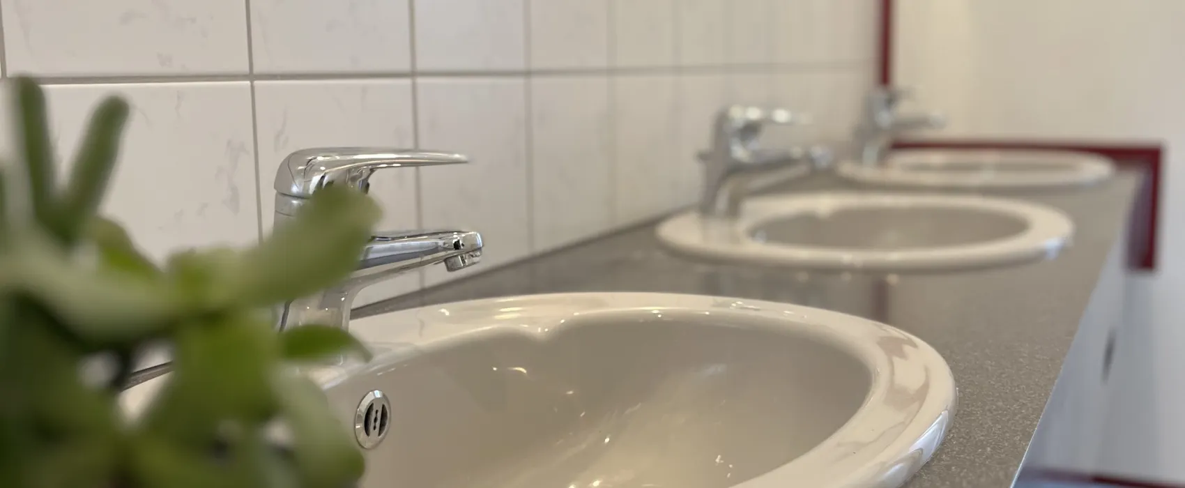 Hammersee Camping Bodenwöhr