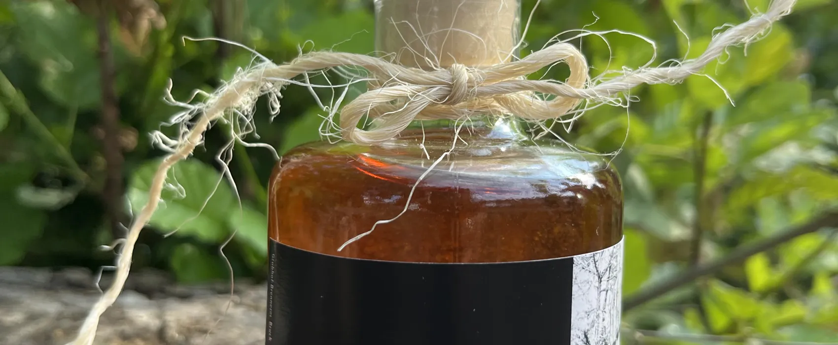 Hammersee Camping Bodenwöhr