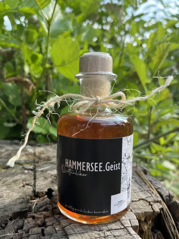 Hammersee Camping Bodenwöhr