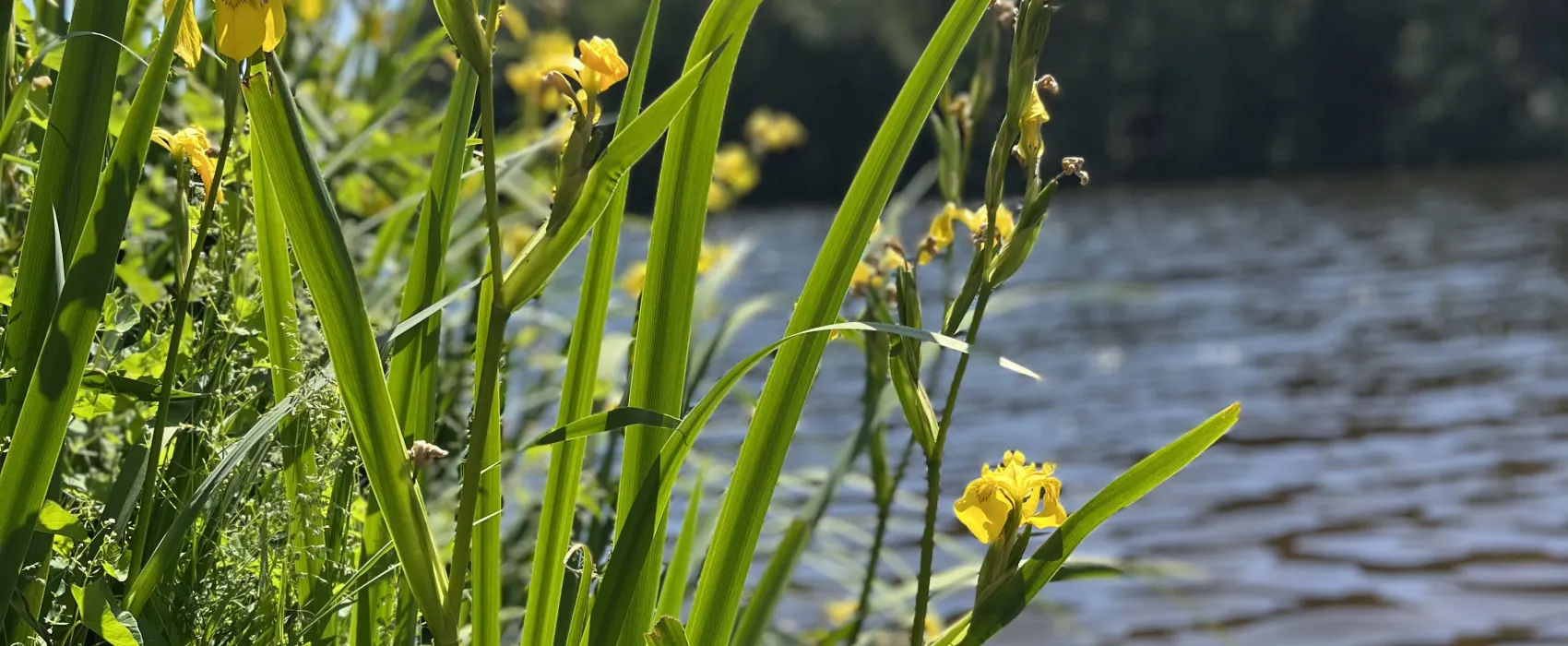 Hammersee Camping Bodenwöhr