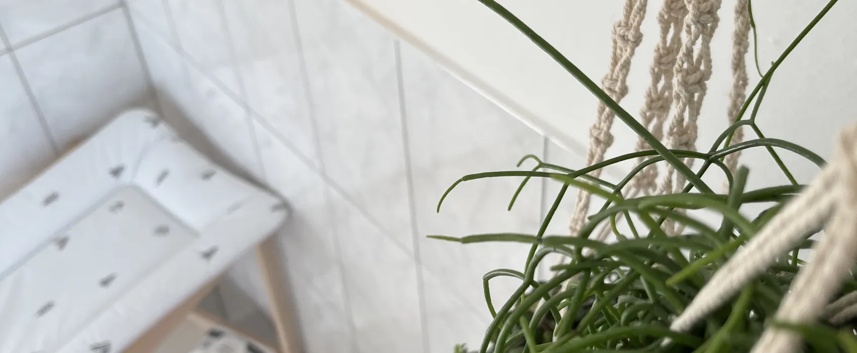 Hammersee Camping Bodenwöhr