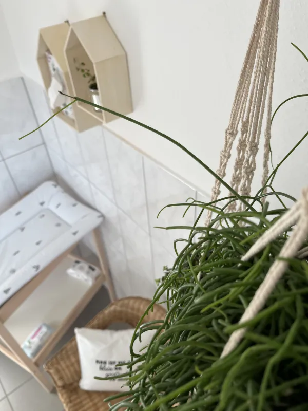 Hammersee Camping Bodenwöhr