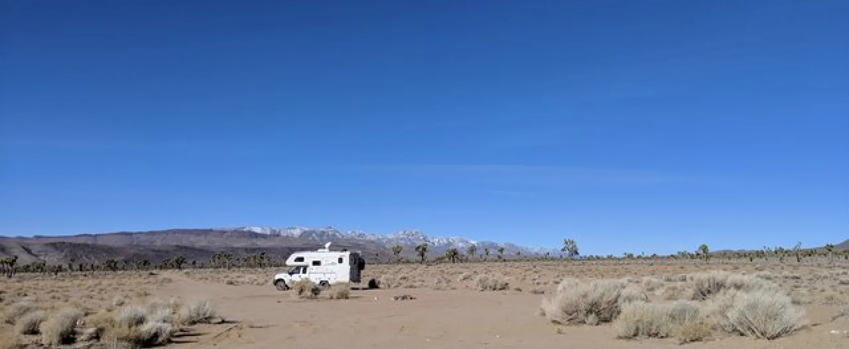 Lee Flat Joshua Tree Forest Backcountry Camping