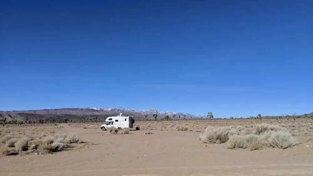 Lee Flat Joshua Tree Forest Backcountry Camping