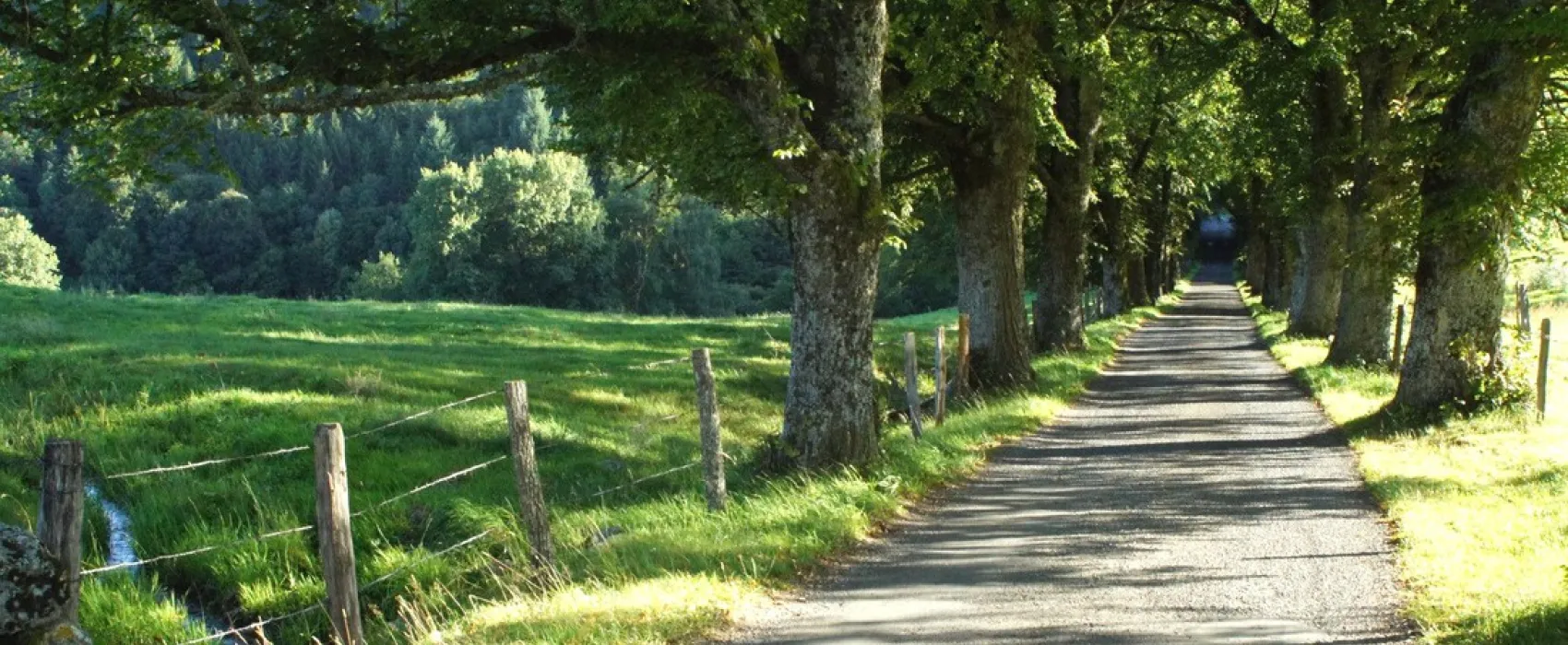 Camping Municipal Le Chateau Du Couffour