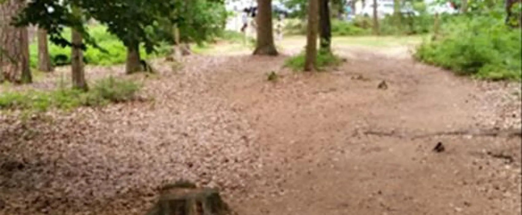 Waldcamping Brombach