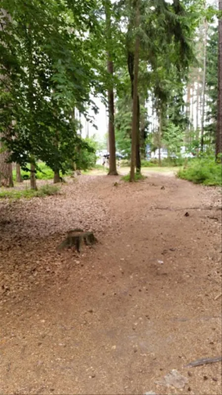 Waldcamping Brombach