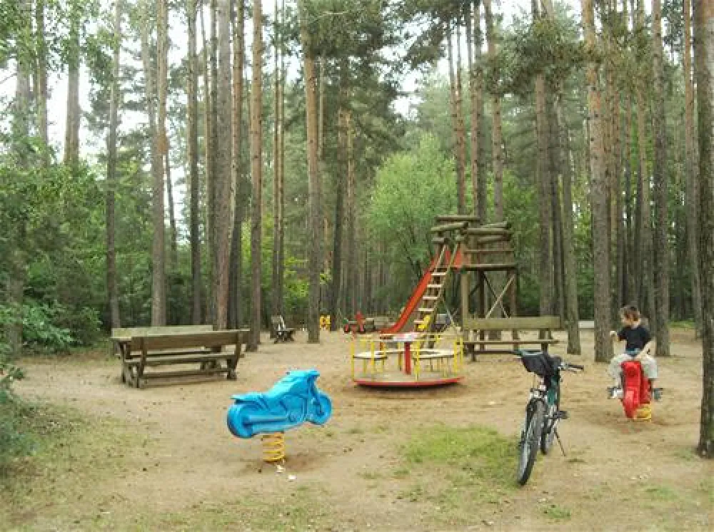Waldcamping Brombach