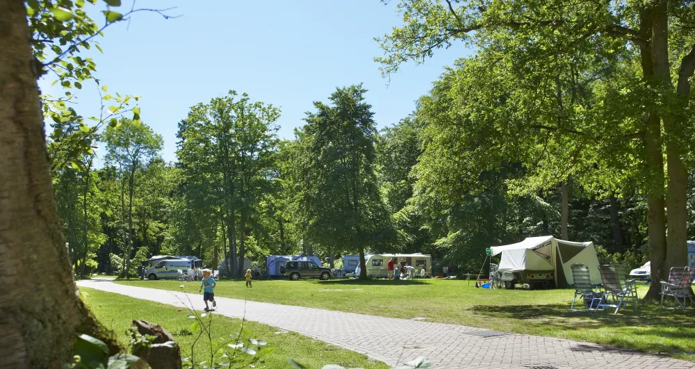 Vakantiepark Duinrell