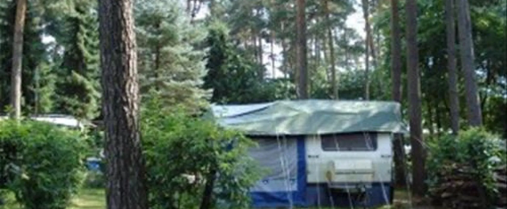Camping in den Tannen