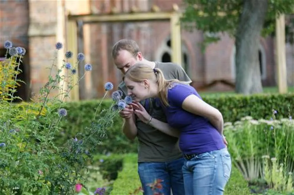 Alfsee Ferien- und Erholungspark