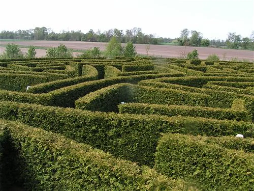Alfsee Ferien- und Erholungspark