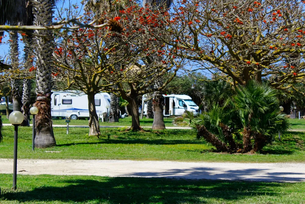 Camping Biscione