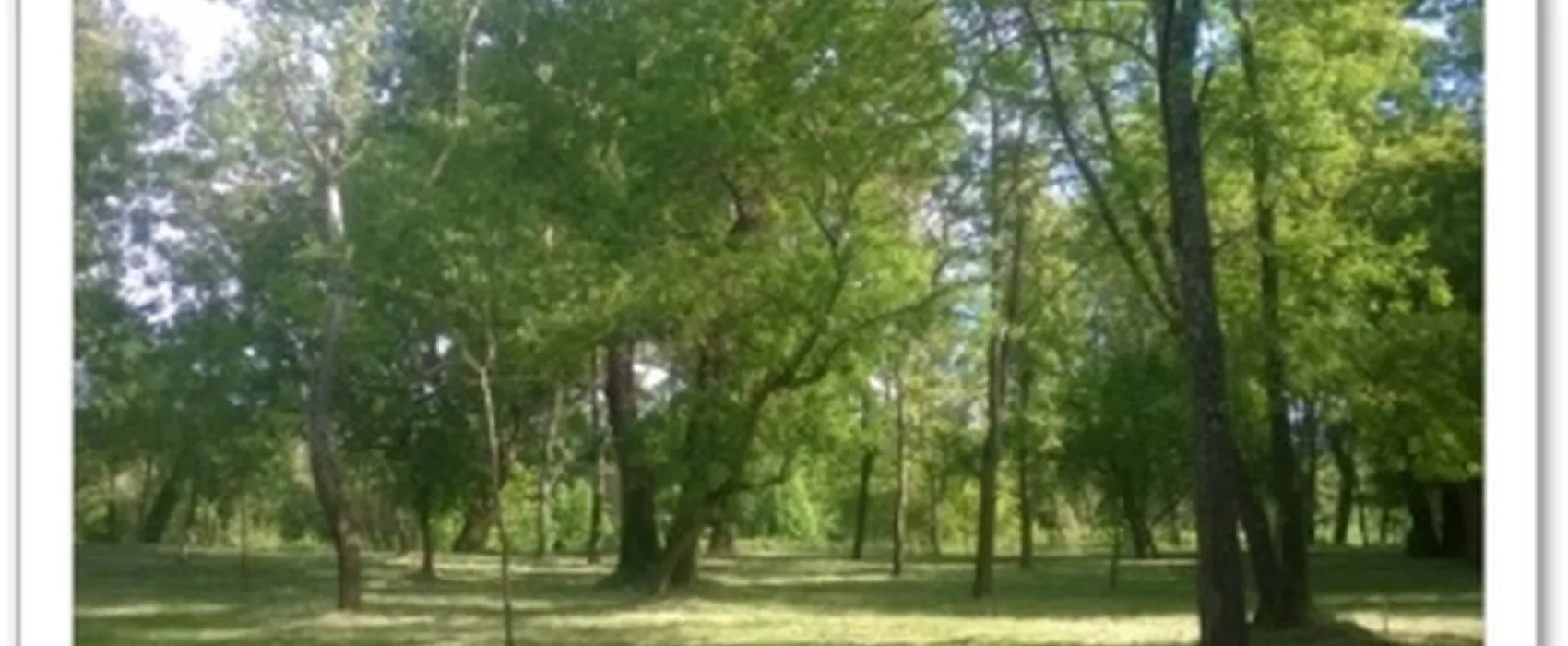 Ferme La Saraillère