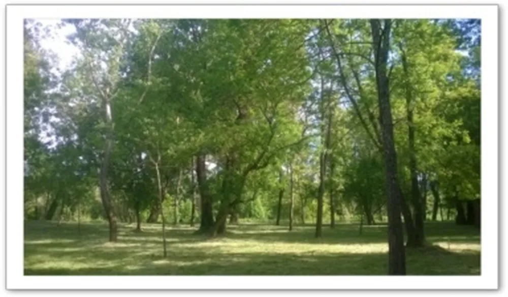 Ferme La Saraillère