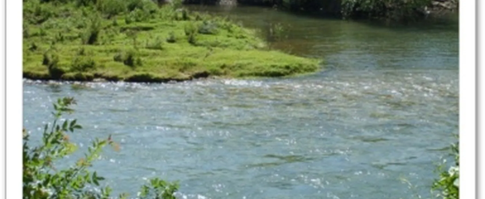 Ferme La Saraillère